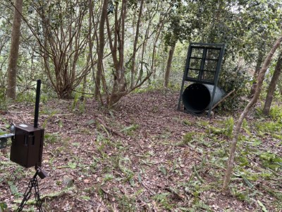 卓溪入侵黑熊再度掠食犬隻 ，巡護隊員險遭攻擊防衛擊槍，黑熊緊急送醫仍不幸身亡，後續協助部落減少人熊衝突。